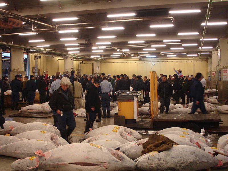 Tsukiji Fish Market, Tokyo