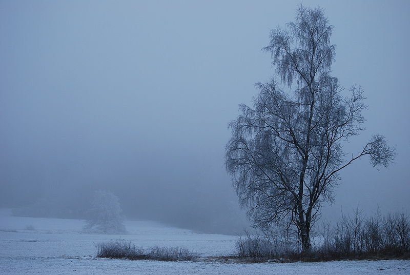 Landscape of Upper Franconia in winter