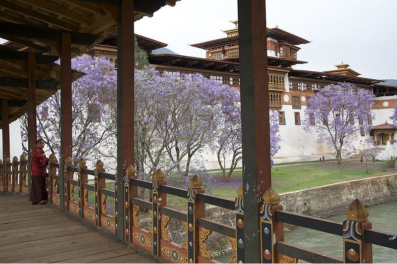 View at Punakha Dzong