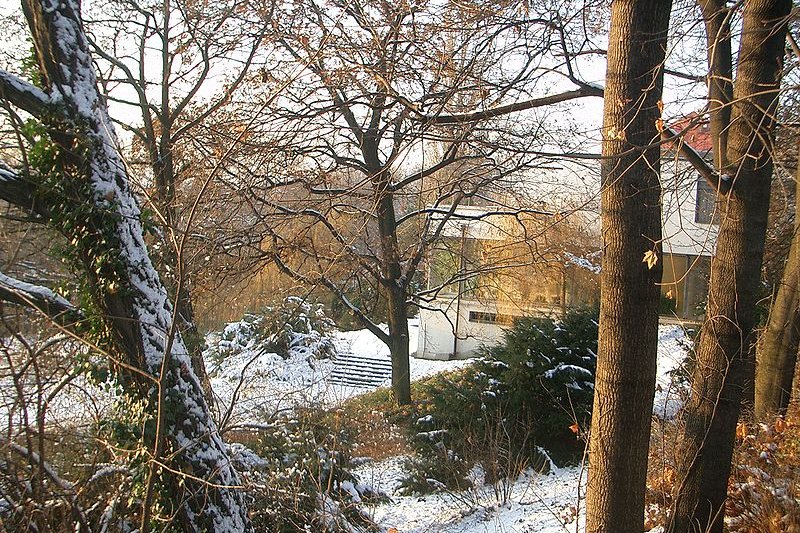 Villa Tugendhat in winter