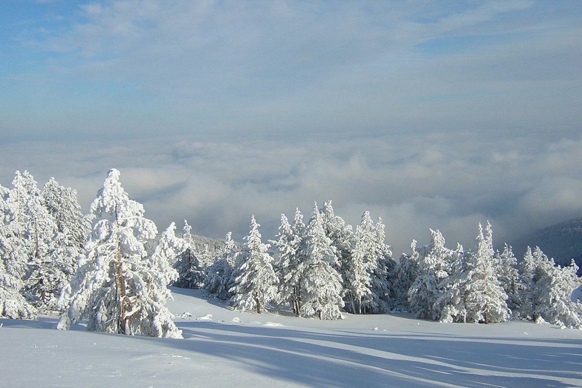 View from Vitosha