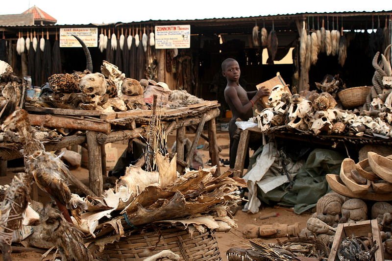 At the voodoo fetish market in Lomé, Togo