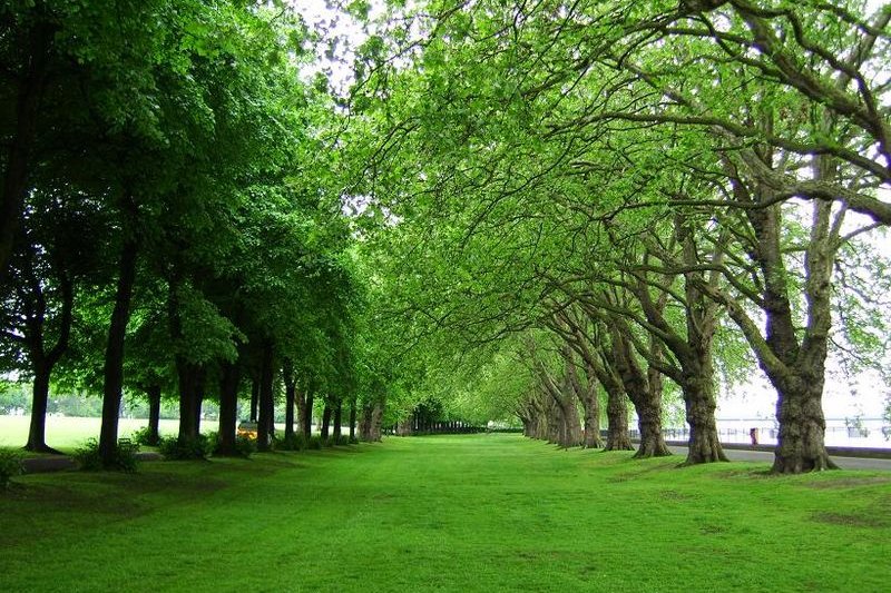 Wandsworth Park, London