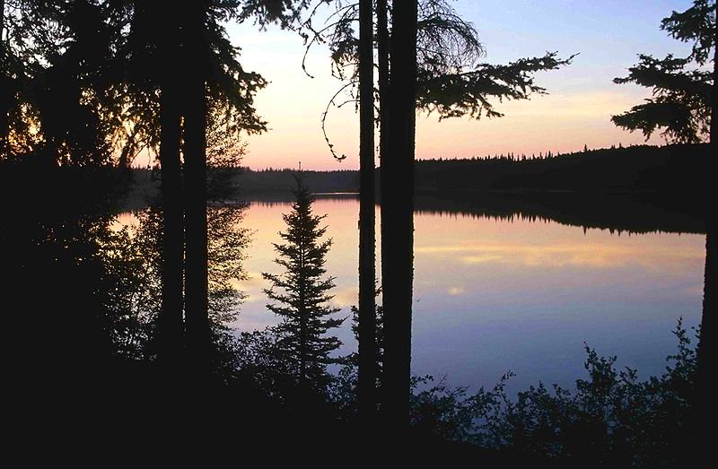 Wood Buffalo National Park