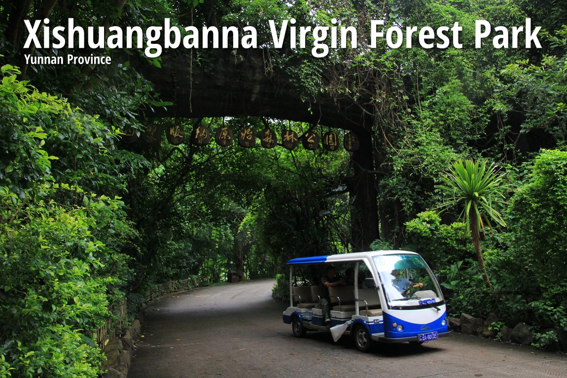 Xishuangbanna Virgin Forest Park
