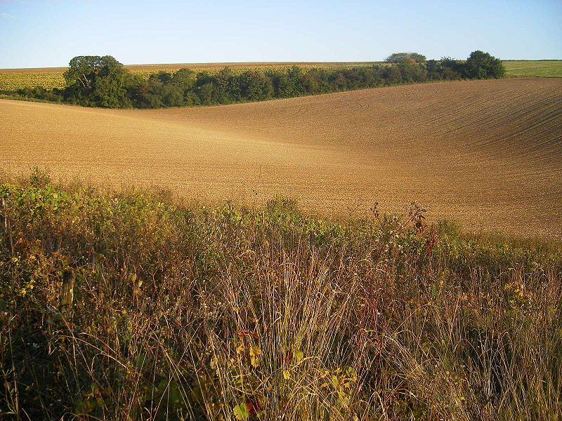 Landscape of Yonne, Burgundy