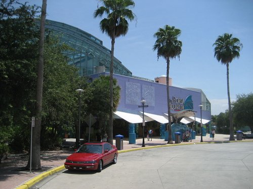 Florida Aquarium, Tampa