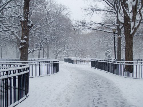 Tompkins Square, New York City