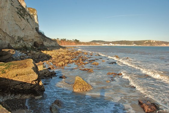 Beer coast looking towards Seaton Hole