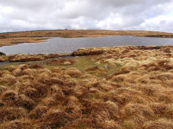 Birks Tarn, North Yorkshire