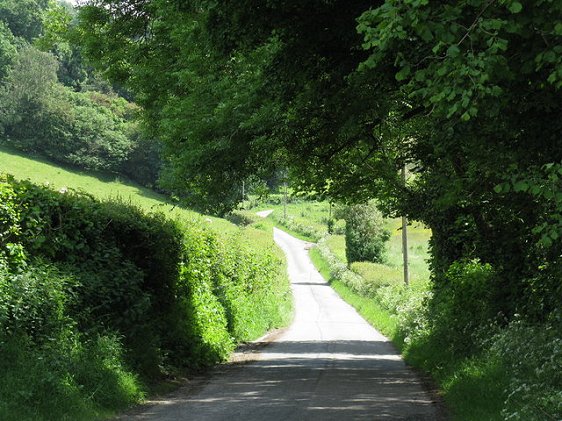 Country lane in Bromyard