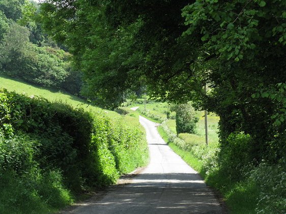 Country lane in Bromyard