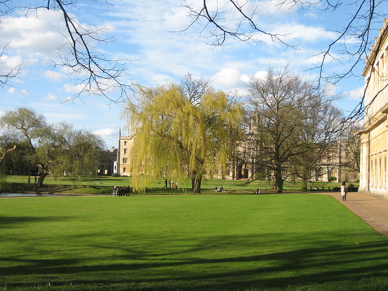 Landscape of Cambridge