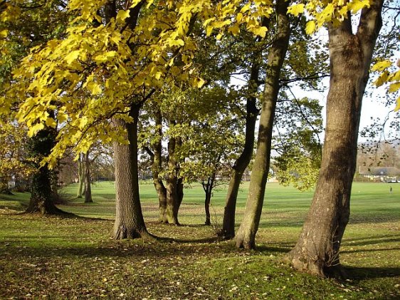 Penenden Heath, Maidstone