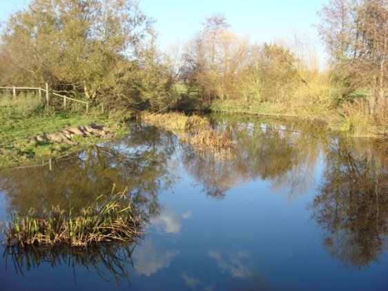 River Stour, Sudbury