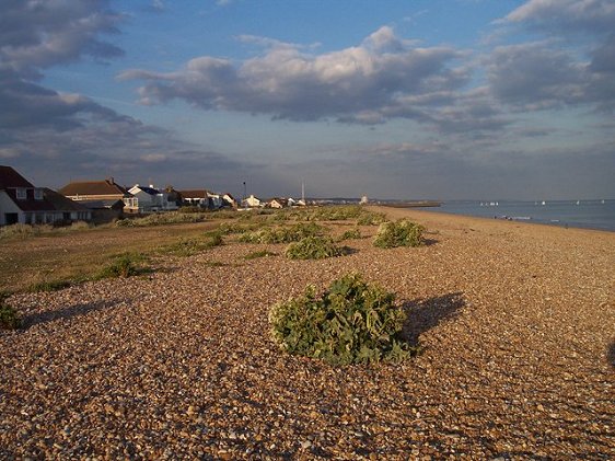 Shoreham Beach, Shoreham-by-Sea