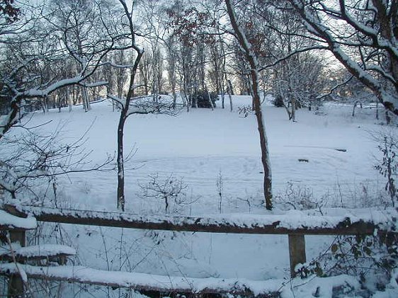 Sutton Park in winter