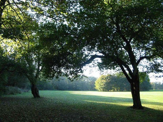 Weelsby Woods, Grimsby