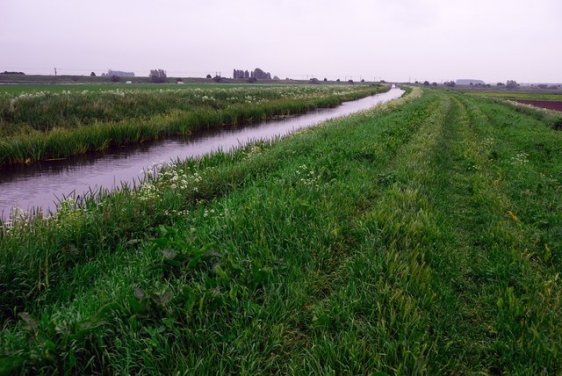 Yaxley Lode Drain, Yaxley