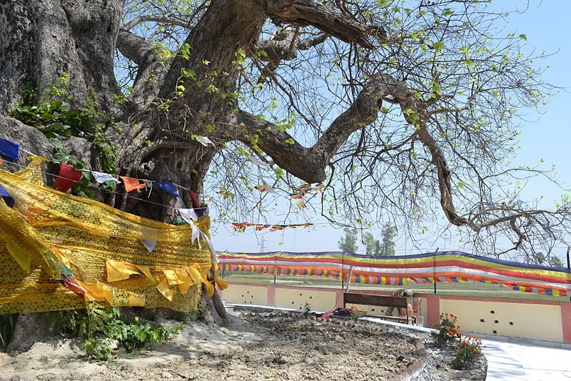Buddha Relic Distribution Site, Kushinagar