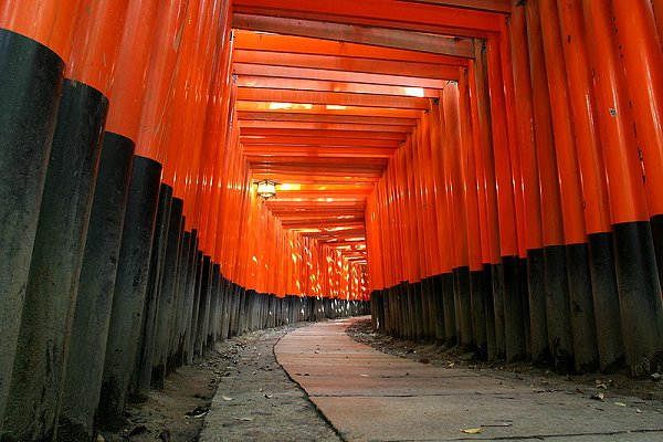 Torii gates at Fushimi Inari Shrine, Kyoto
