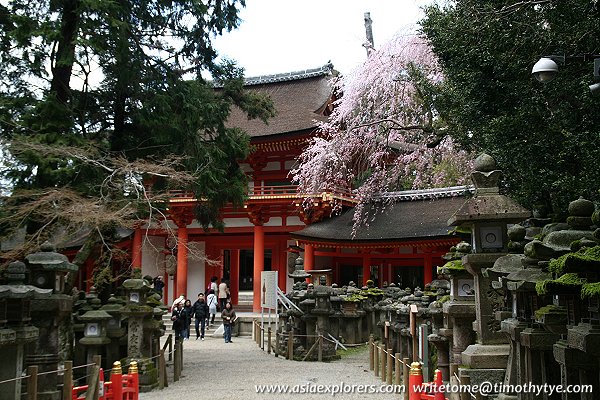 Lanterns at Kasuga Grand Shrine