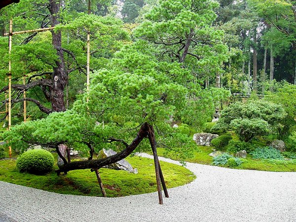 The garden of Manshu-in Temple, Kyoto