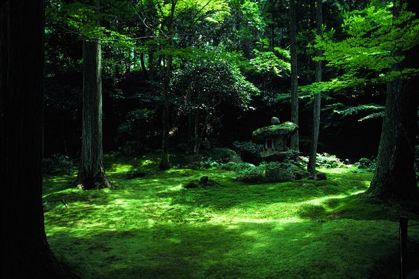 Sanzen-in Temple in Ohara District