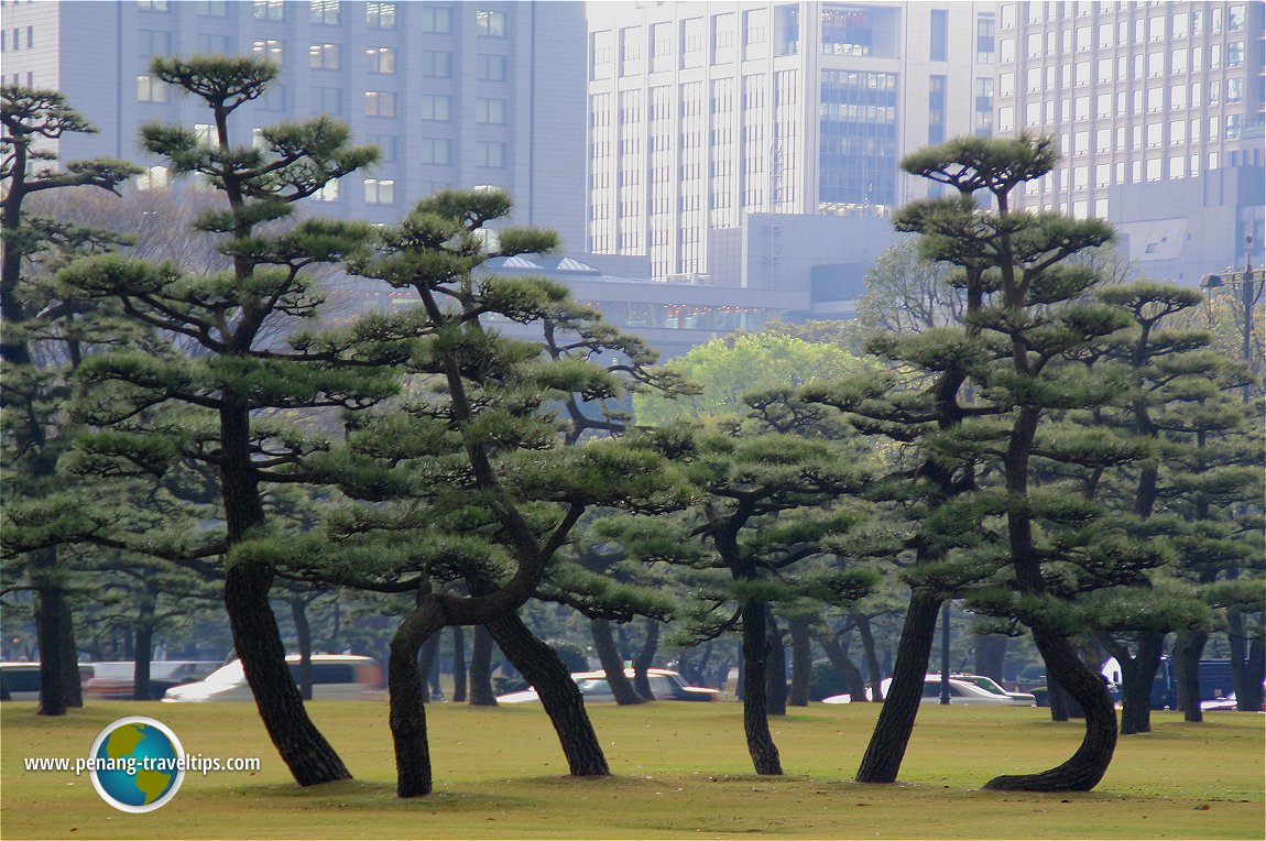 Imperial Palace, Tokyo