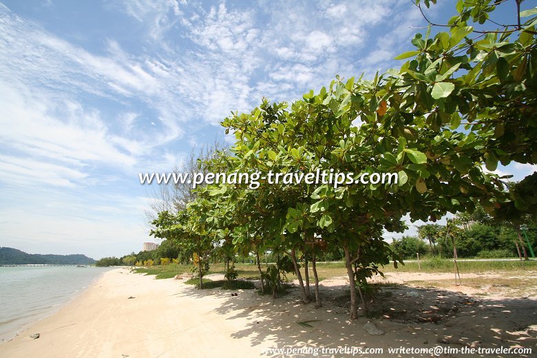 Beach at Bayan Mutiara