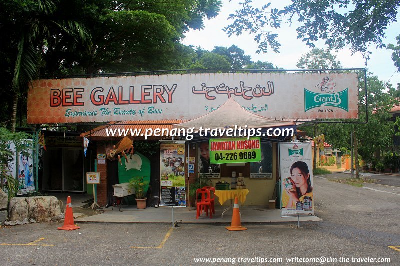 Bee Gallery, Penang Botanic Gardens