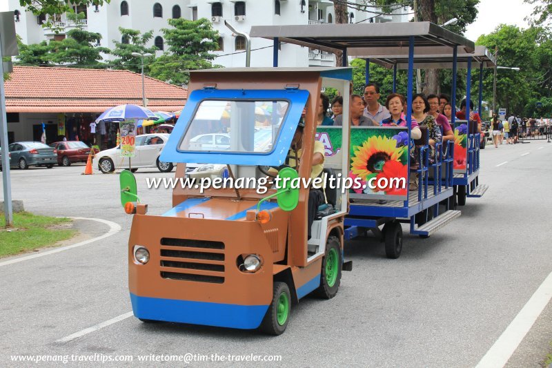 Botanic Gardens Tram Service