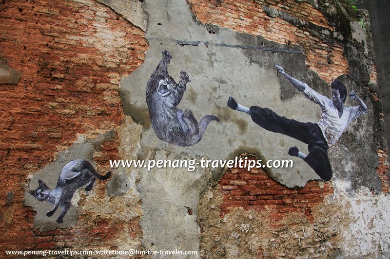 Bruce Lee Cat Mural