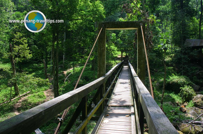 Bukit Mertajam Recreational Forest suspension bridge