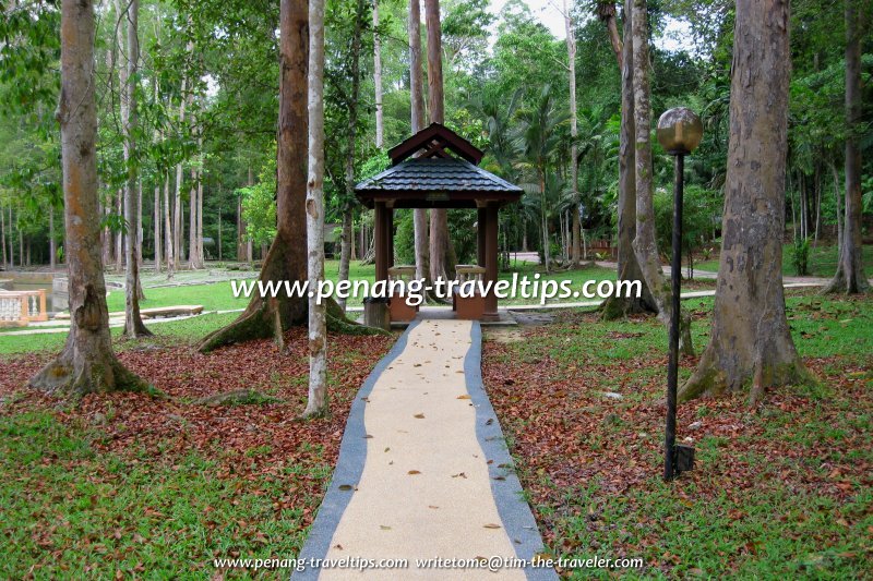 Forest rest stop, Bukit Panchor State Park