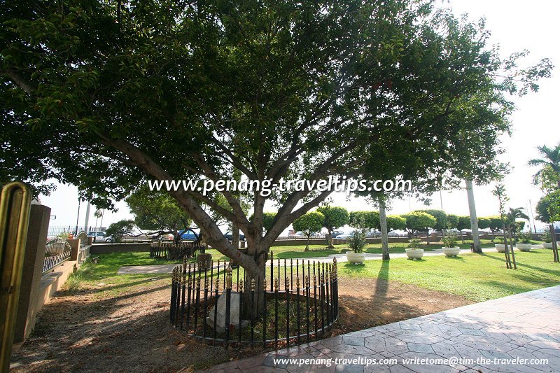 The Bunga Tanjong planted by Tun Dr Haji Hamdan, the Governor of Penang, on 26 August, 1989