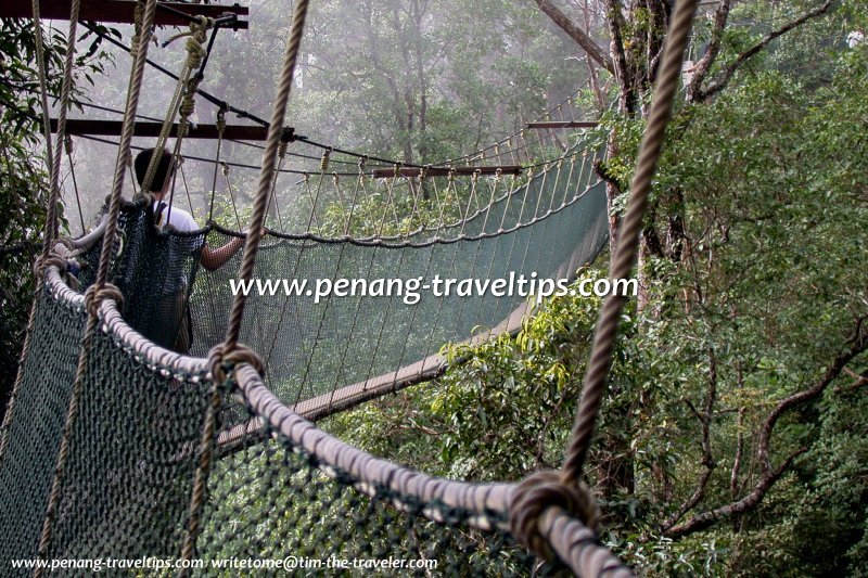Canopy walk, Penang Hill