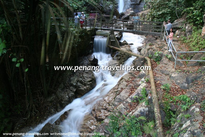 Run-off from the Botanic Gardens Waterfall