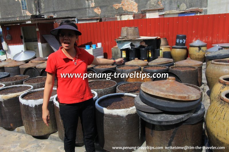 The proprietor's daughter explaining the different stages of the soya-sauce-making process