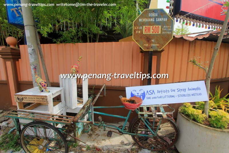 Fine 500 For Littering, Sterilize Instead