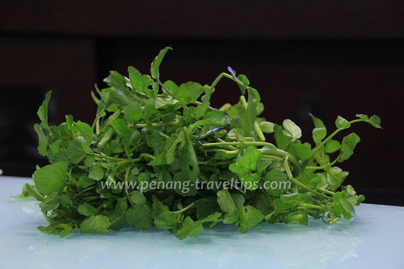 Fresh watercress