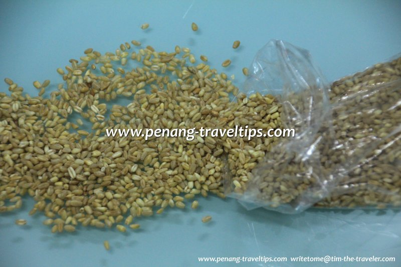 The raw gandum, or wheat grains