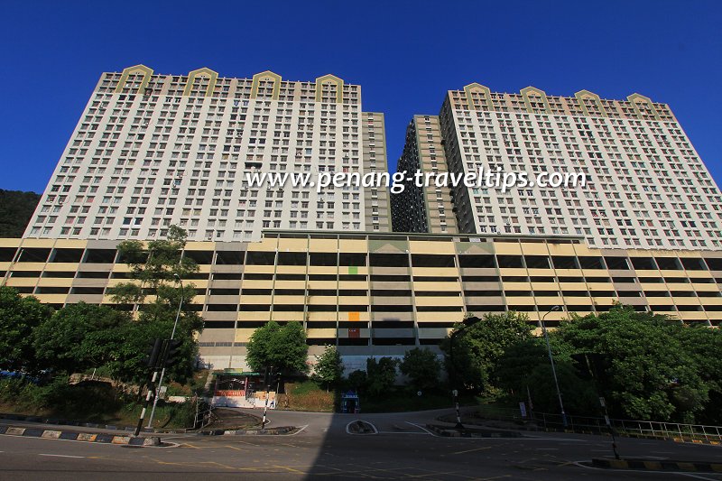 Green Garden Apartment