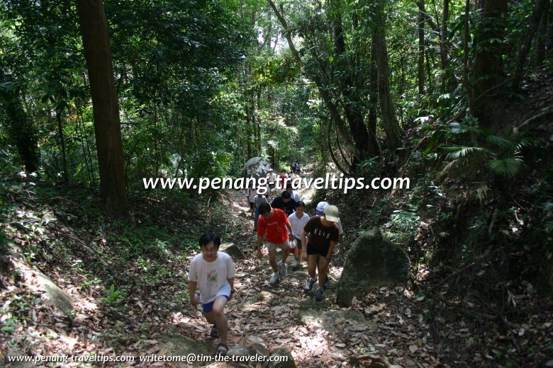 Penang National Park