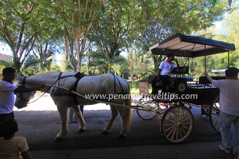 Horse carriage riding, Penang Turf Club