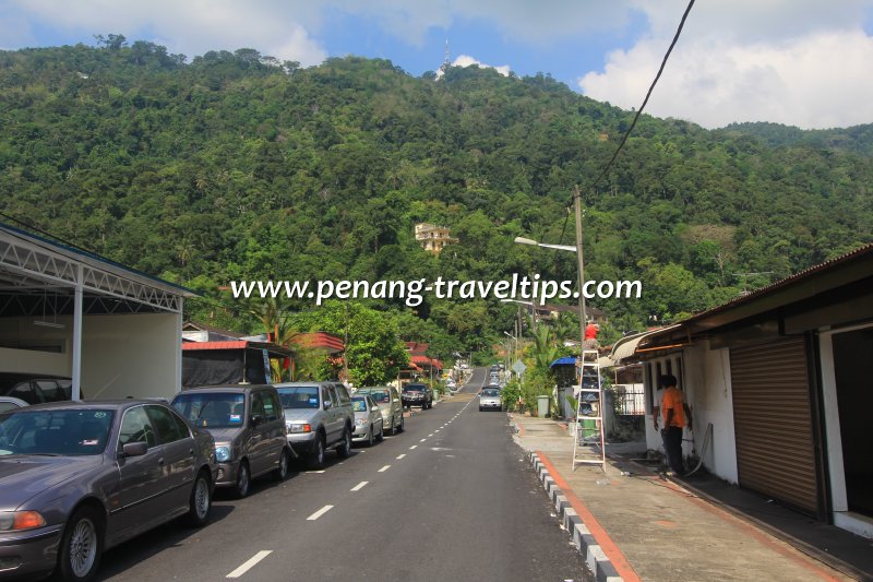 Jalan Buah Jambu, Paya Terubong