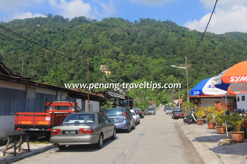 Jalan Buah Limau, Paya Terubong