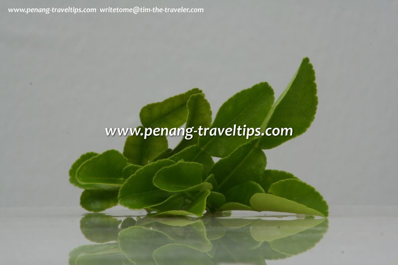 Kaffir Lime leaves