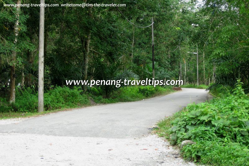 Kampung road to Bukit Panchor State Park