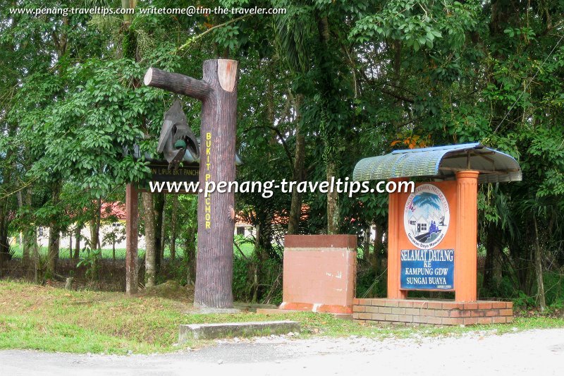You pass the Kampung Sungai Buaya sign